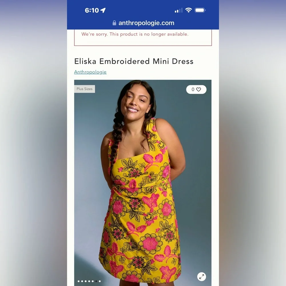 Eliska Embroidered Mini Dress purchased from Anthropologie. - Picture 1 of 7